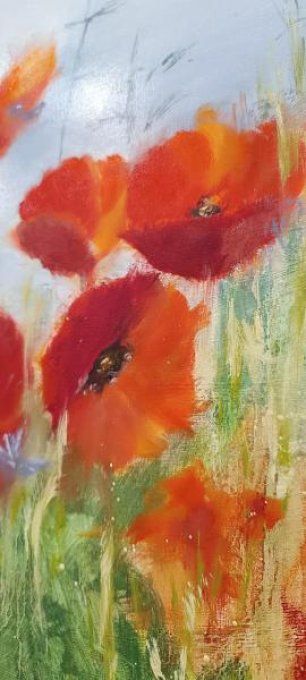 champs de coquelicots